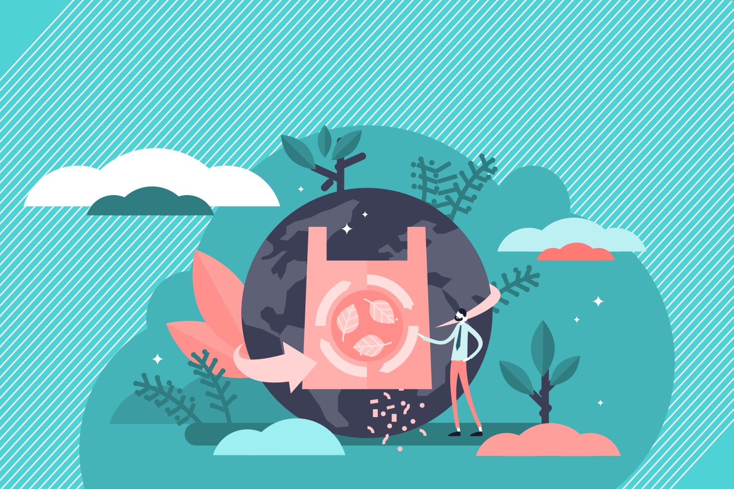 Создание производства упаковки из прибрежных водорослей