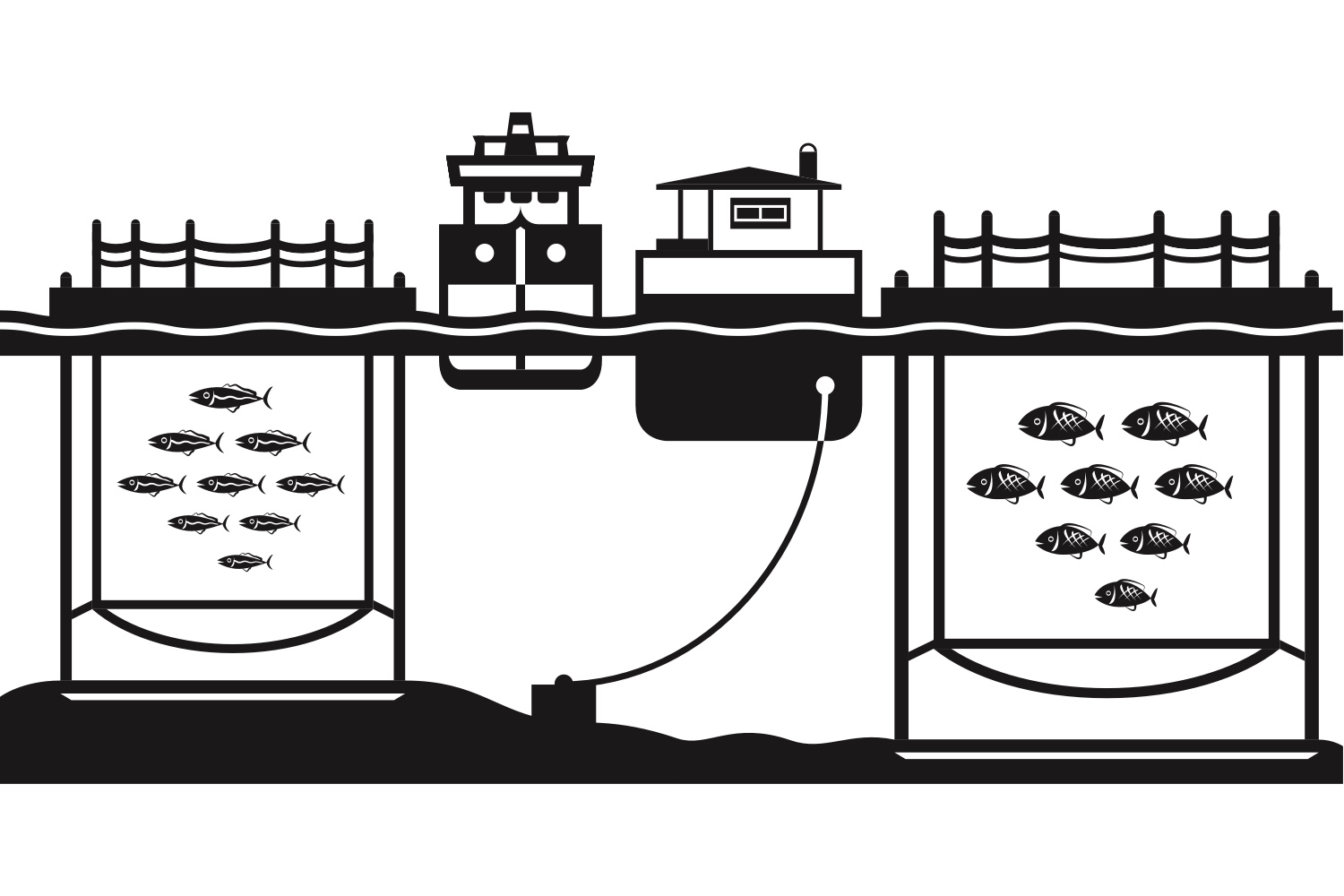 Строительство рыбоводного завода для искусственного воспроизводства сиговых пород рыб на озере Харитоновское бассейна реки Куя (приток Печоры) 