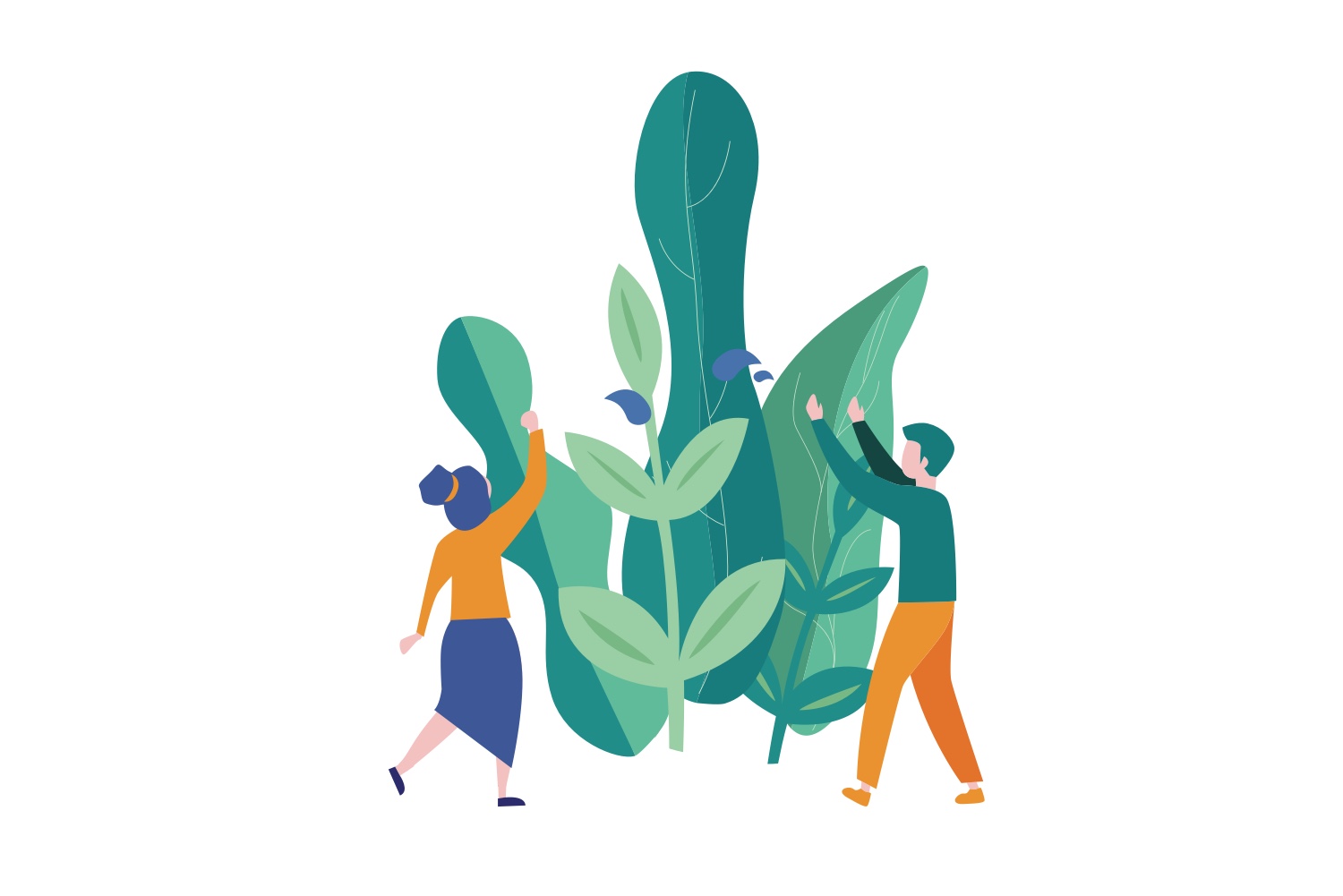 Кедр как дерево символ Арктики. Создание заполярных кедровых питомников.